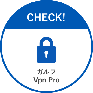 多拠点企業向けソリューション 大規模VPNネットワーク ガルフVpn Pro