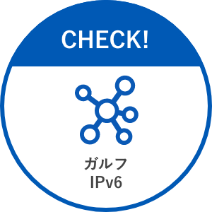 多拠点企業向けソリューション インターネット回線 ガルフIPv6